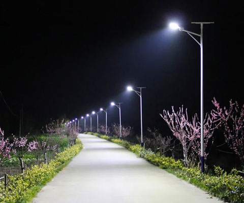 Solar Street Lights